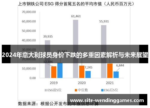 2024年意大利球员身价下跌的多重因素解析与未来展望