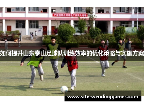 如何提升山东泰山足球队训练效率的优化策略与实施方案