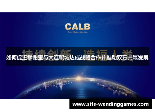 如何促进穆谢奎与大连鲲城达成战略合作并推动双方共赢发展