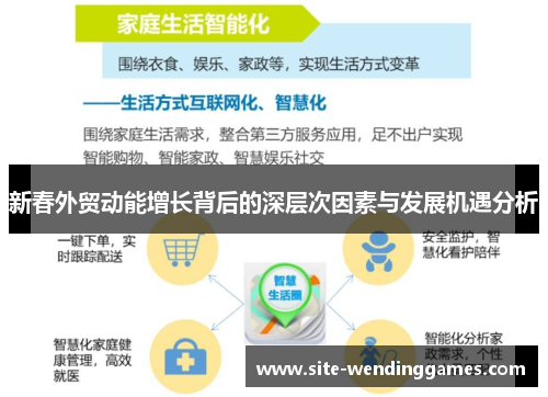 新春外贸动能增长背后的深层次因素与发展机遇分析