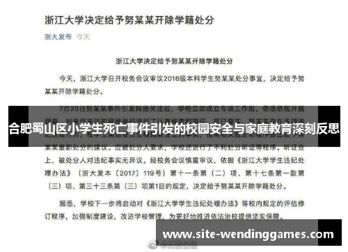合肥蜀山区小学生死亡事件引发的校园安全与家庭教育深刻反思