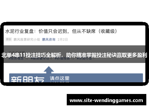 北单4串11投注技巧全解析，助你精准掌握投注秘诀赢取更多盈利