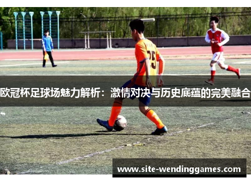 欧冠杯足球场魅力解析：激情对决与历史底蕴的完美融合