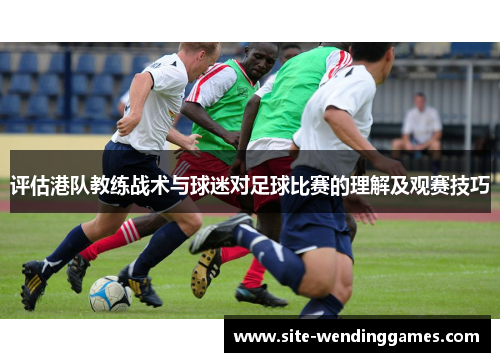 评估港队教练战术与球迷对足球比赛的理解及观赛技巧