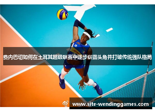 费内巴切如何在土耳其超级联赛中逐步崭露头角并打破传统强队格局