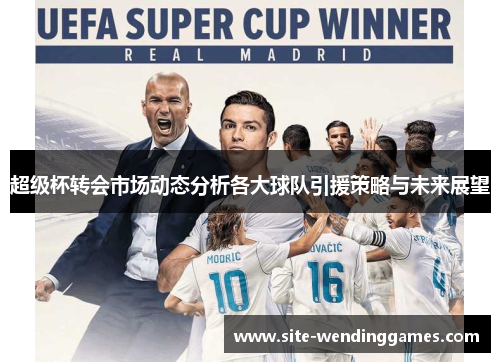 超级杯转会市场动态分析各大球队引援策略与未来展望