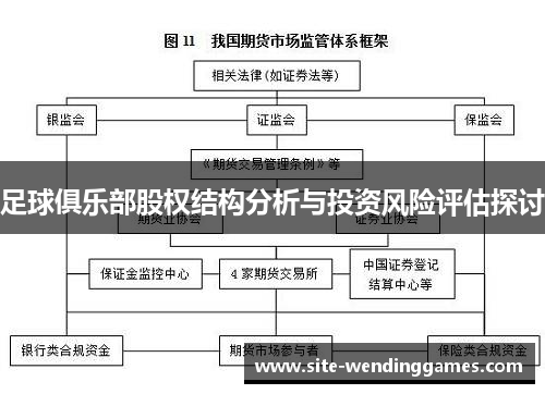 足球俱乐部股权结构分析与投资风险评估探讨