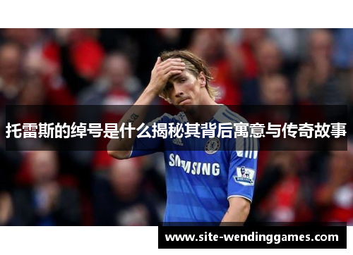 托雷斯的绰号是什么揭秘其背后寓意与传奇故事