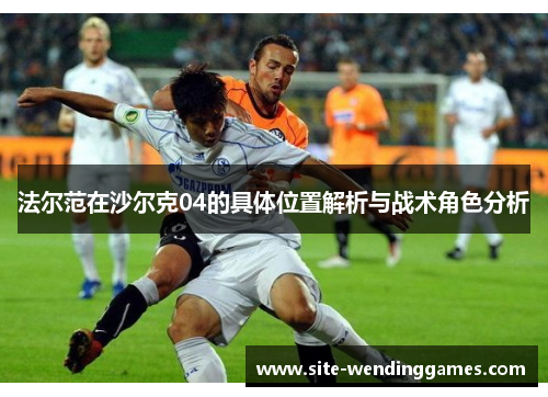 法尔范在沙尔克04的具体位置解析与战术角色分析