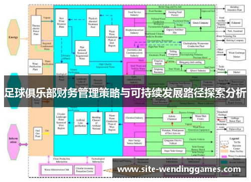 足球俱乐部财务管理策略与可持续发展路径探索分析