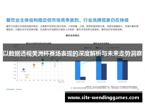 以数据透视美洲杯赛场表现的深度解析与未来走势洞察
