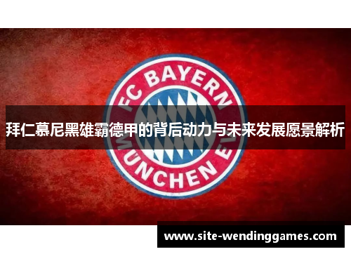 拜仁慕尼黑雄霸德甲的背后动力与未来发展愿景解析