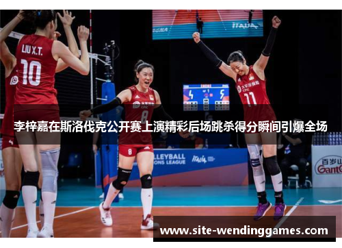 李梓嘉在斯洛伐克公开赛上演精彩后场跳杀得分瞬间引爆全场