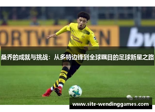 桑乔的成就与挑战：从多特边锋到全球瞩目的足球新星之路