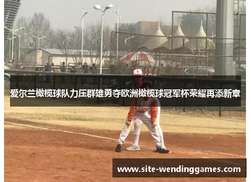 爱尔兰橄榄球队力压群雄勇夺欧洲橄榄球冠军杯荣耀再添新章