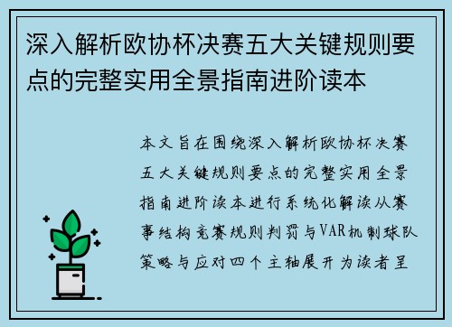 深入解析欧协杯决赛五大关键规则要点的完整实用全景指南进阶读本